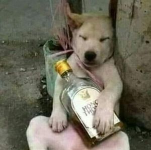 Meet your Posher, Dan